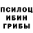 Галлюциногенные грибы мицелий Kirill Kosykh